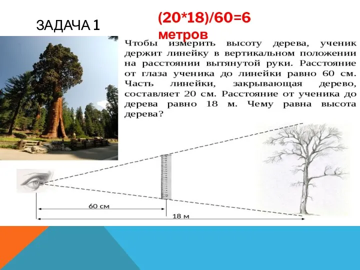 ЗАДАЧА 1 (20*18)/60=6 метров