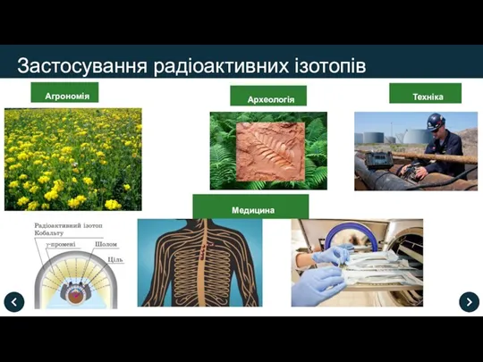 Застосування радіоактивних ізотопів Агрономія Медицина Археологія Техніка