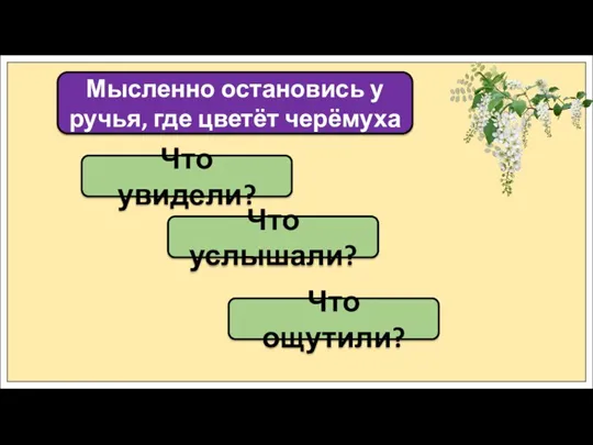 Что увидели? Мысленно остановись у ручья, где цветёт черёмуха Что услышали? Что ощутили?