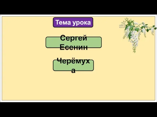 Сергей Есенин Тема урока Черёмуха