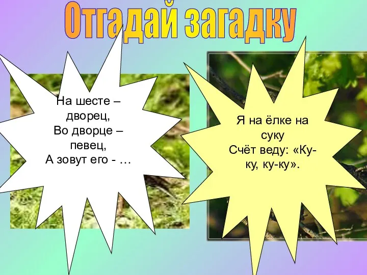 Отгадай загадку На шесте – дворец, Во дворце – певец,