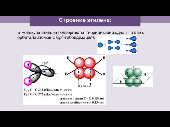 Строение этилена: В молекуле этилена подвергаются гибридизации одна s- и две p-орбитали атомов C (sp2-гибридизация).