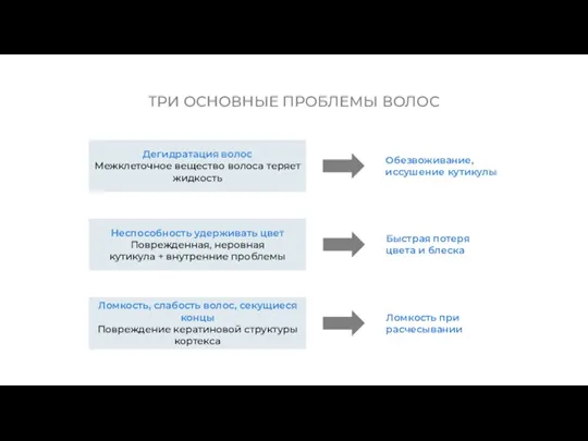 Дегидратация волос Межклеточное вещество волоса теряет жидкость ТРИ ОСНОВНЫЕ ПРОБЛЕМЫ