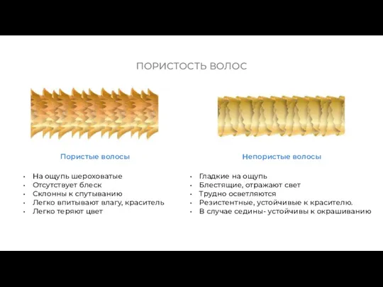 Пористые волосы На ощупь шероховатые Отсутствует блеск Склонны к спутыванию