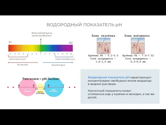 ВОДОРОДНЫЙ ПОКАЗАТЕЛЬ pH Водородный показатель pH характеризует концентрацию свободных ионов