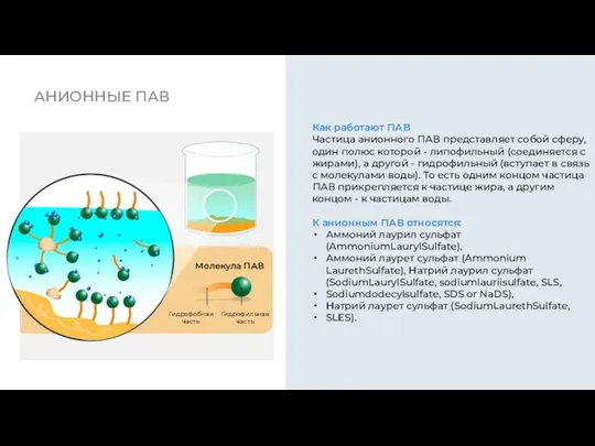 АНИОННЫЕ ПАВ Как работают ПАВ Частица анионного ПАВ представляет собой