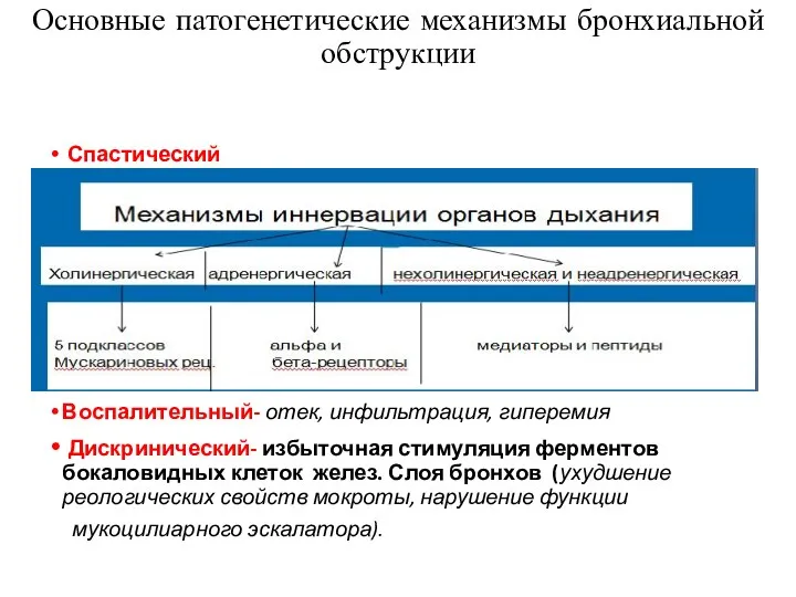 Основные патогенетические механизмы бронхиальной обструкции Спастический Воспалительный- отек, инфильтрация, гиперемия