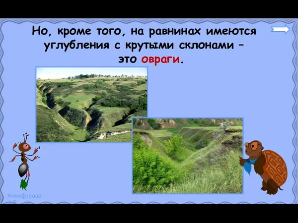 Но, кроме того, на равнинах имеются углубления с крутыми склонами – это овраги.