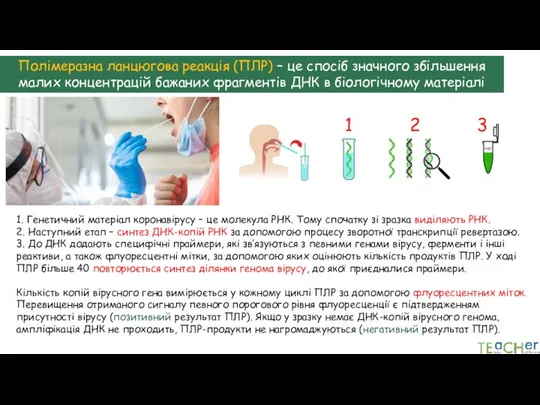 Полімеразна ланцюгова реакція (ПЛР) – це спосіб значного збільшення малих