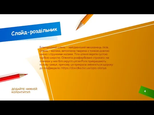 Слайд-роздільник ДОДАЙТЕ НИЖНІЙ КОЛОНТИТУЛ Благородний олень – найдавніший мешканець лісів.