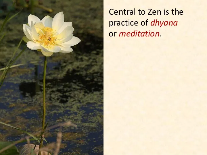 Central to Zen is the practice of dhyana or meditation.