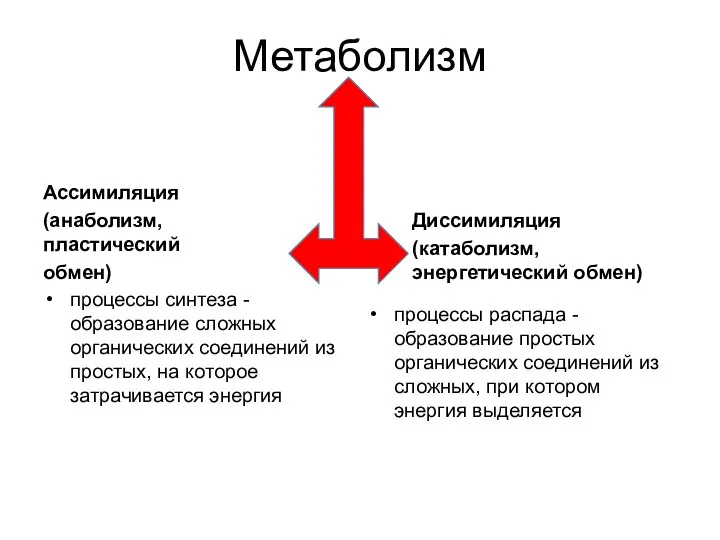 Метаболизм Ассимиляция (анаболизм, пластический обмен) процессы синтеза - образование сложных