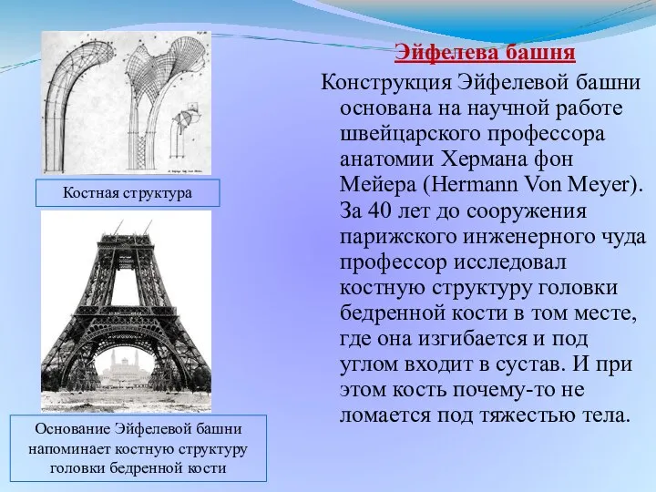 Эйфелева башня Конструкция Эйфелевой башни основана на научной работе швейцарского профессора анатомии Хермана