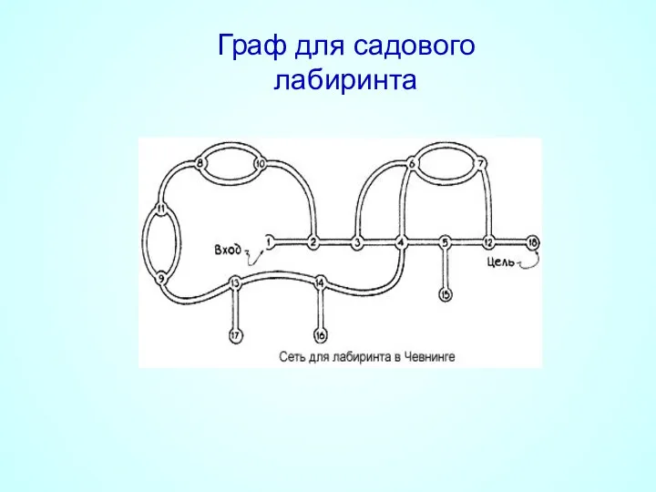 Граф для садового лабиринта