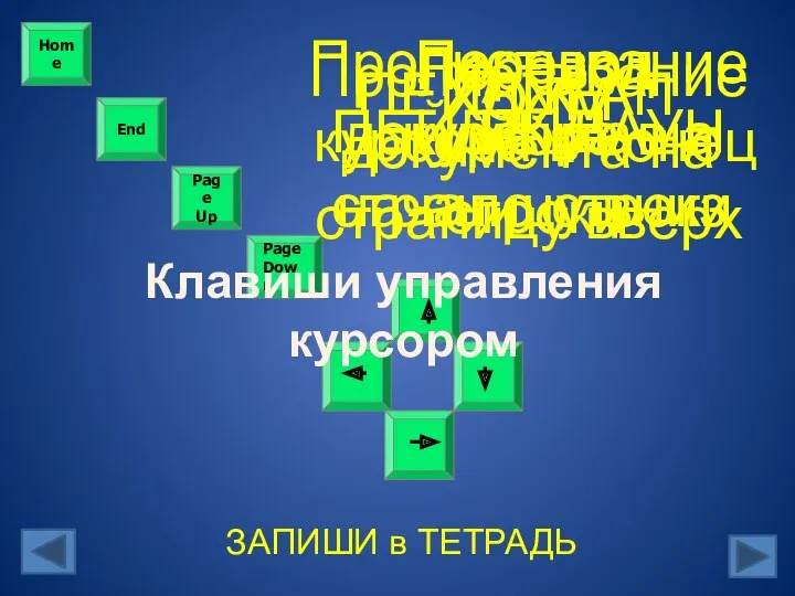 Home Page Up Page Down End Клавиши управления курсором ХОУМ