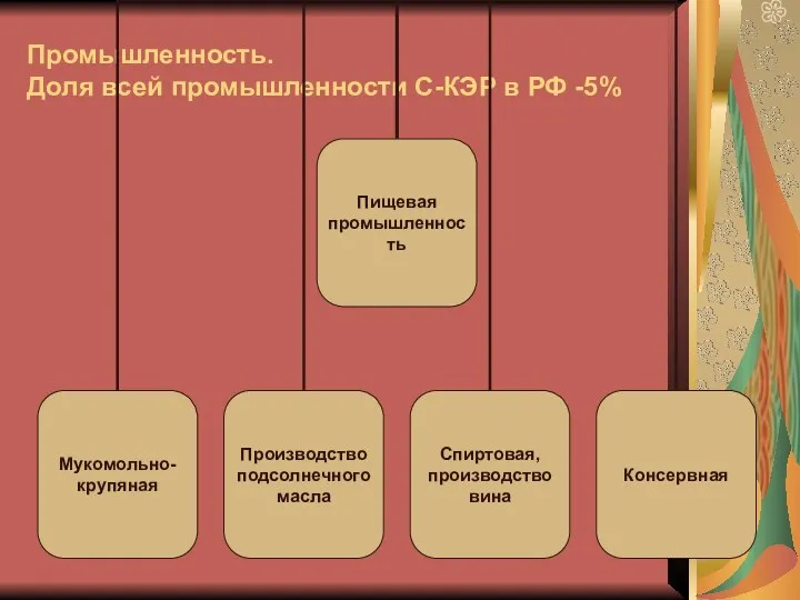 Промышленность. Доля всей промышленности С-КЭР в РФ -5%