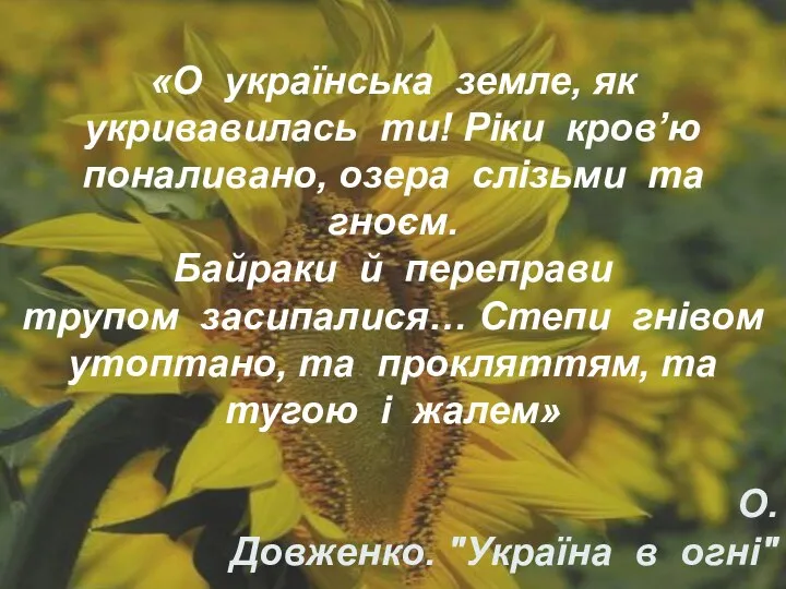 «О українська земле, як укривавилась ти! Ріки кров’ю поналивано, озера слізьми та гноєм.