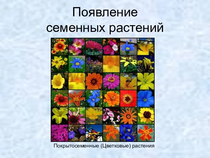 Появление семенных растений Покрытосеменные (Цветковые) растения