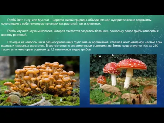Грибы́ (лат. Fungi или Mycota) — царство живой природы, объединяющее