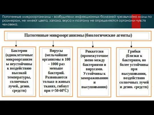 Патогенные микроорганизмы – возбудители инфекционных болезней чрезвычайно малы по размерам, не имеют цвета,