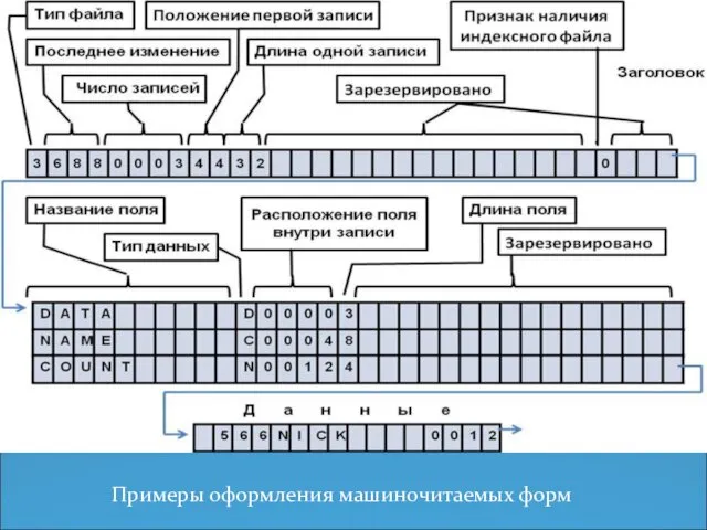 Примеры оформления машиночитаемых форм