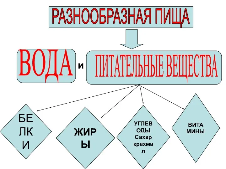 БЕЛКИ ЖИРЫ УГЛЕВОДЫ Сахар крахмал ВИТАМИНЫ и РАЗНООБРАЗНАЯ ПИЩА ПИТАТЕЛЬНЫЕ ВЕЩЕСТВА ВОДА