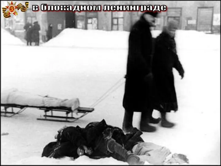 Так хоронили ленинградцев, погибших от голода, убитых при бомбёжке. Некому