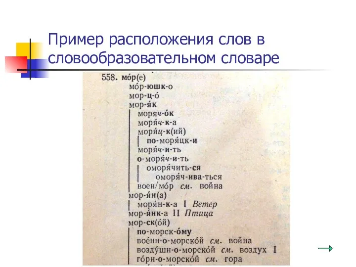 Пример расположения слов в словообразовательном словаре