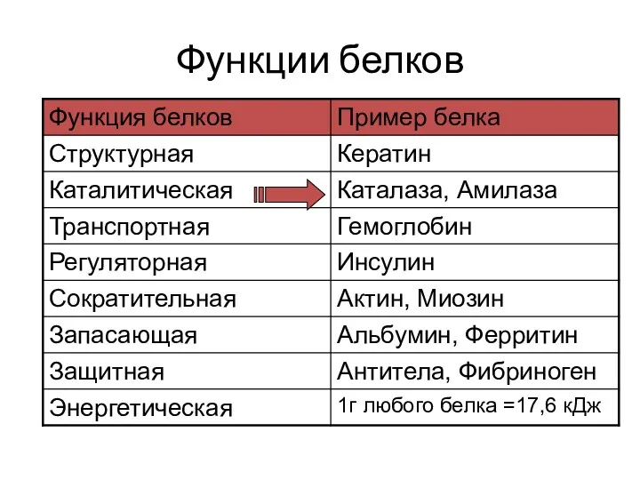 Функции белков