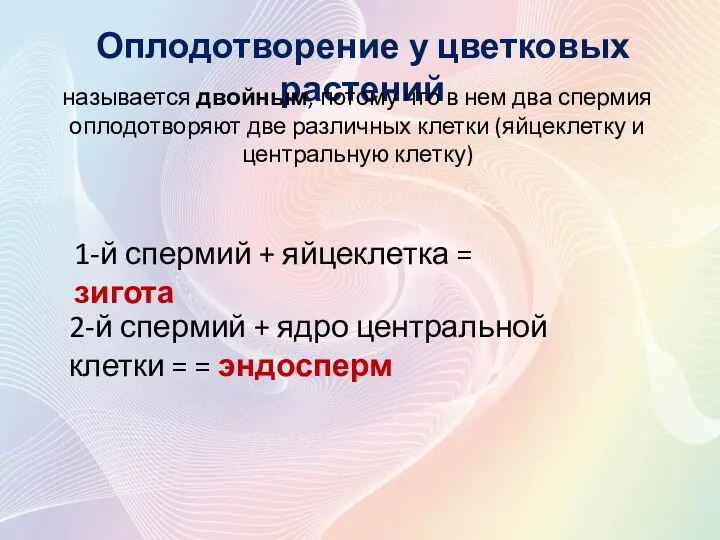 Оплодотворение у цветковых растений называется двойным, потому что в нем