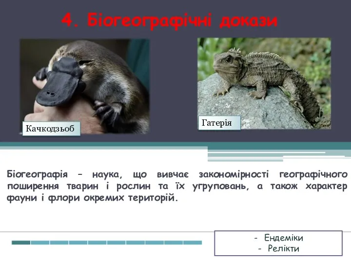 4. Біогеографічні докази Біогеографія – наука, що вивчає закономірності географічного