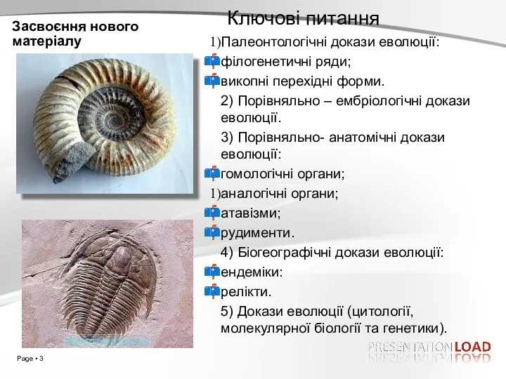 Засвоєння нового матеріалу Ключові питання Палеонтологічні докази еволюції: філогенетичні ряди;