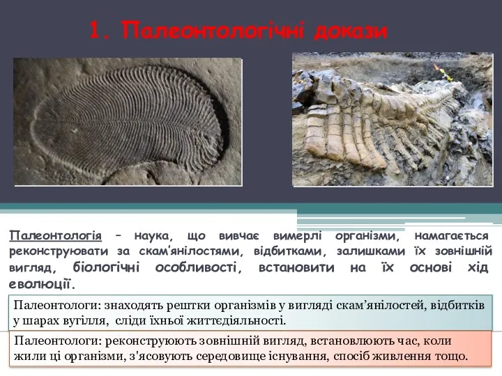 1. Палеонтологічні докази Палеонтологія – наука, що вивчає вимерлі організми,