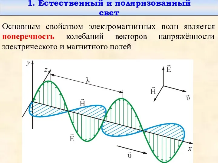 1. Естественный и поляризованный свет Основным свойством электромагнитных волн является