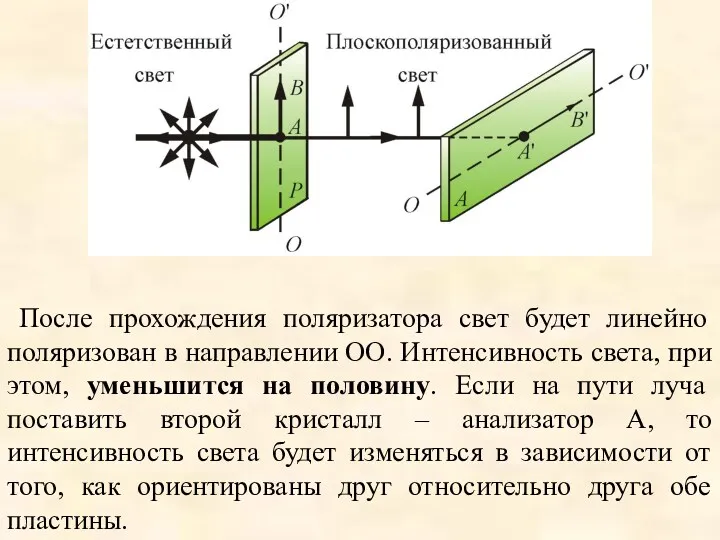 После прохождения поляризатора свет будет линейно поляризован в направлении ОО.