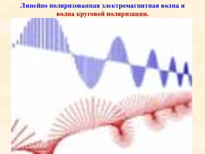 Линейно поляризованная электромагнитная волна и волна круговой поляризации.