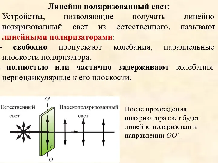 Линейно поляризованный свет: Устройства, позволяющие получать линейно поляризованный свет из