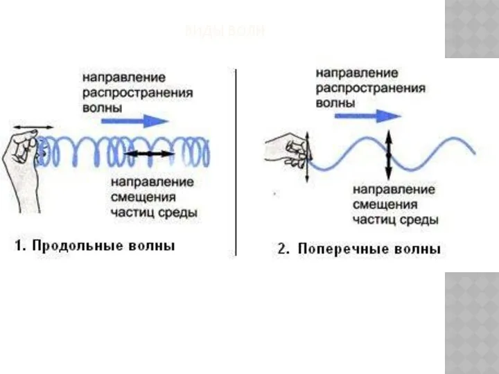 ВИДЫ ВОЛН