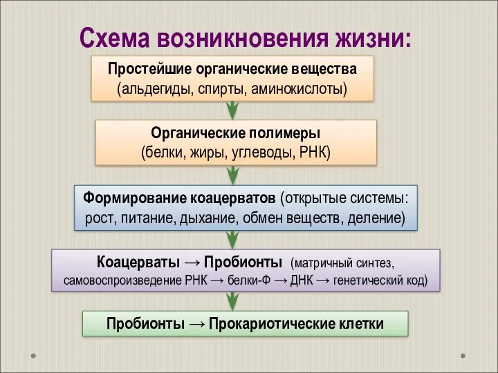 Схема возникновения жизни: Пробионты → Прокариотические клетки Простейшие органические вещества