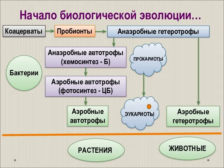 Начало биологической эволюции… Коацерваты Пробионты Анаэробные автотрофы (хемосинтез - Б)