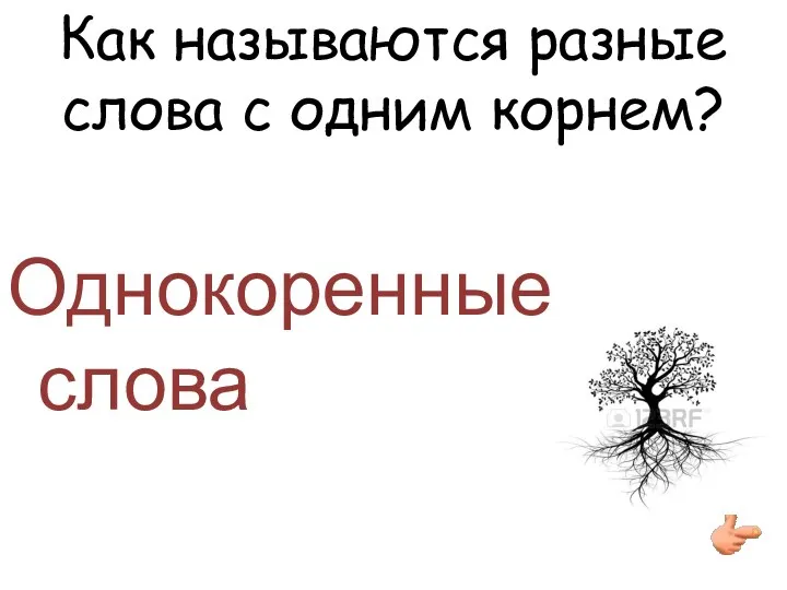 Как называются разные слова с одним корнем? Однокоренные слова