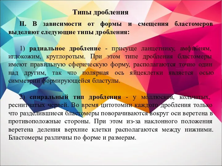 II. В зависимости от формы и смещения бластомеров выделяют следующие