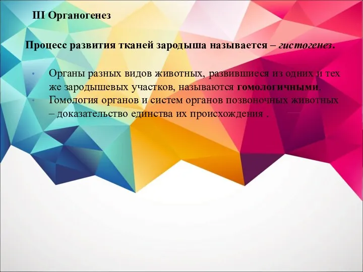 III Органогенез Органы разных видов животных, развившиеся из одних и