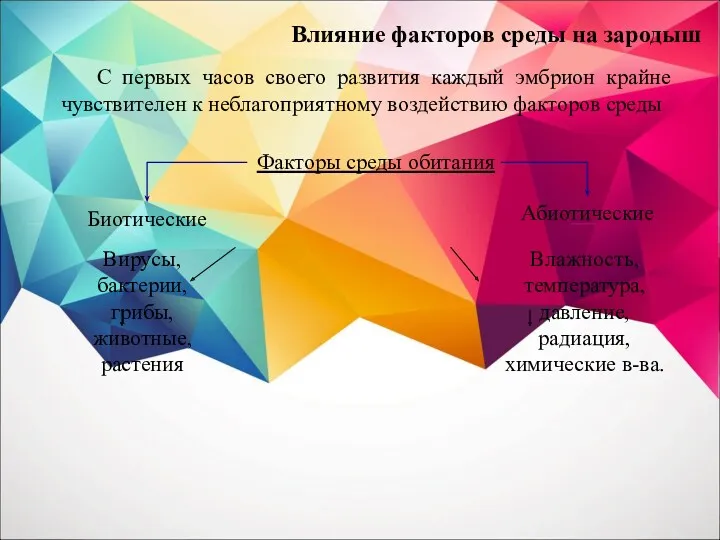 Влияние факторов среды на зародыш Факторы среды обитания Биотические Абиотические