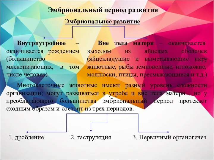 Эмбриональное развитие Внутриутробное – оканчивается рождением (большинство млекопитающих, в том