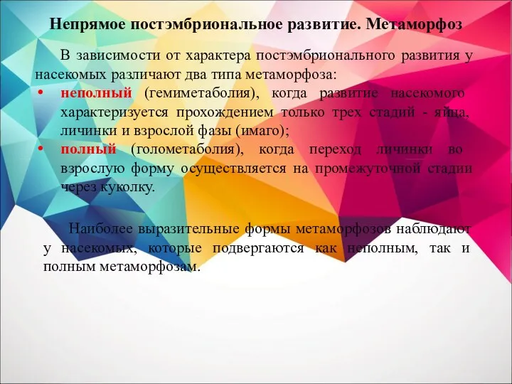 Непрямое постэмбриональное развитие. Метаморфоз В зависимости от характера постэмбрионального развития