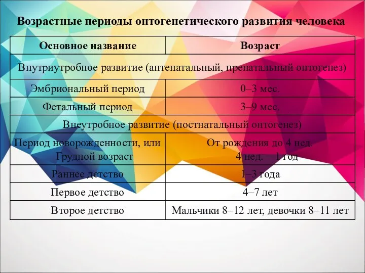 Возрастные периоды онтогенетического развития человека