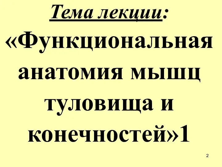 Тема лекции: «Функциональная анатомия мышц туловища и конечностей»1