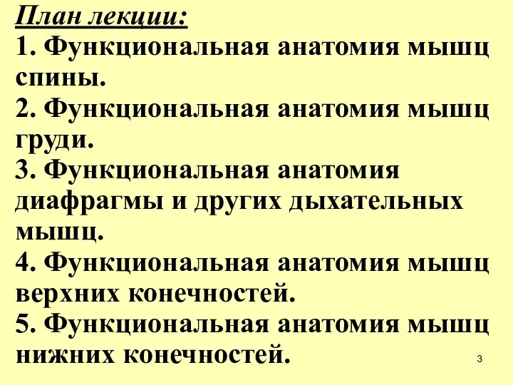 План лекции: 1. Функциональная анатомия мышц спины. 2. Функциональная анатомия