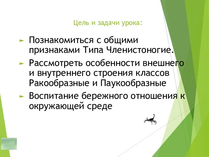 Цель и задачи урока: Познакомиться с общими признаками Типа Членистоногие.